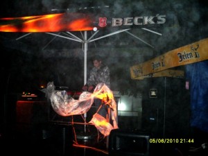 Shiny D - Kamenički vis