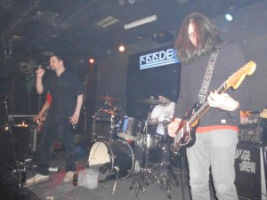 Sharks, Snakes & Planes